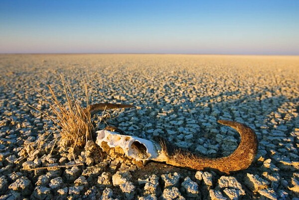 Σοκαριστικά τα στοιχεία για το μέλλον του πλανήτη- Το 40% των γόνιμων εδαφών κινδυνεύει από ερημοποίηση