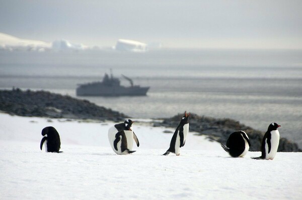 Δημιουργείται στον Ανταρκτικό Ωκεανό το μεγαλύτερο θαλάσσιο πάρκο στον κόσμο