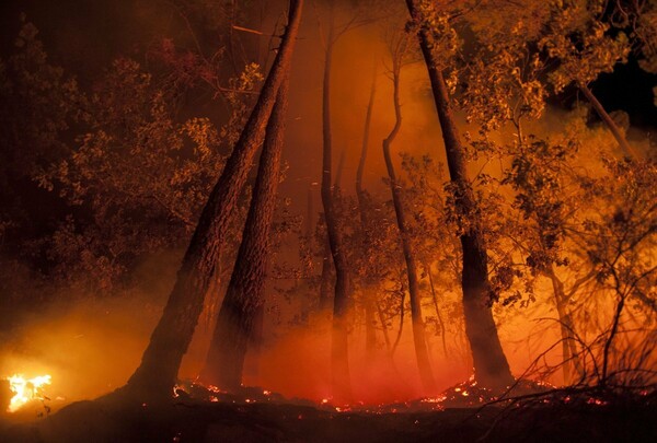 Αυξάνεται ραγδαία ο κίνδυνος δασικών πυρκαγιών στη Μεσόγειο λόγω της κλιματικής αλλαγής