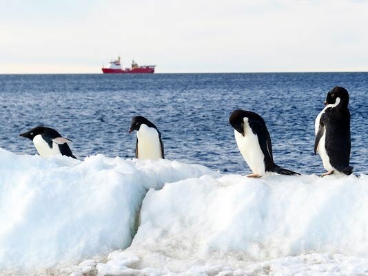 Ρεκόρ ζέστης στην Ανταρκτική με θερμοκρασία στους 17,5 βαθμούς Κελσίου