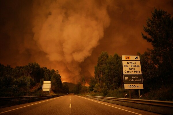 Τραγωδία στην Πορτογαλία: Στους 62 πλέον οι νεκροί από τη δασική πυρκαγιά