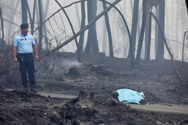 Τραγωδία στην Πορτογαλία: Στους 62 πλέον οι νεκροί από τη δασική πυρκαγιά