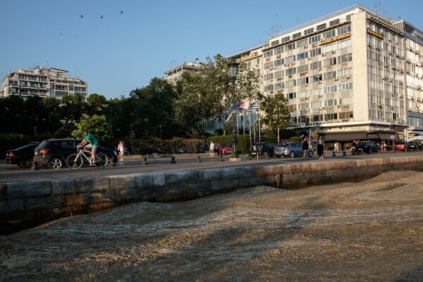 Θεσσαλονίκη: Απίστευτες φωτογραφίες από τον Θερμαϊκό Κόλπο- Το φαινόμενο του ευτροφισμού