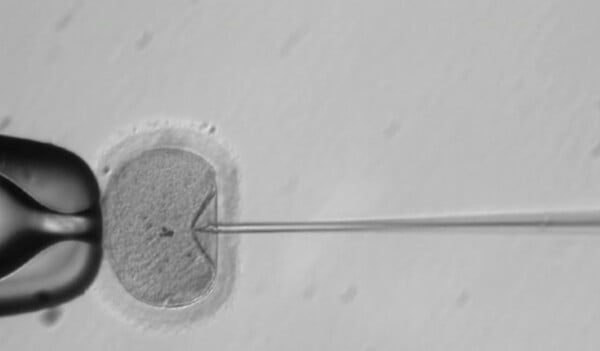 Ερευνητές στις ΗΠΑ δημιούργησαν για πρώτη φορά γενετικά τροποποιημένα ανθρώπινα έμβρυα