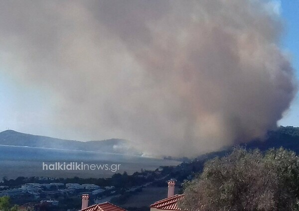 Μεγάλη φωτιά στην Κασσάνδρα Χαλκιδικής- Στις αυλές των σπιτιών οι φλόγες (upd)