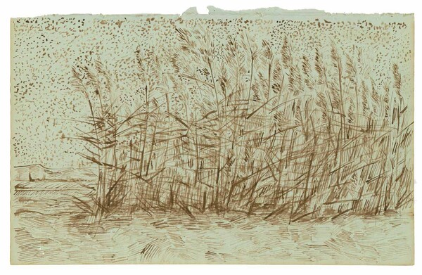 To Μουσείο Βαν Γκογκ θεωρεί πλαστό το «χαμένο μπλοκ σχεδίων της Αρλ» που αποδίδεται στο μεγάλο ζωγράφο και κυκλοφορεί σε βιβλίο