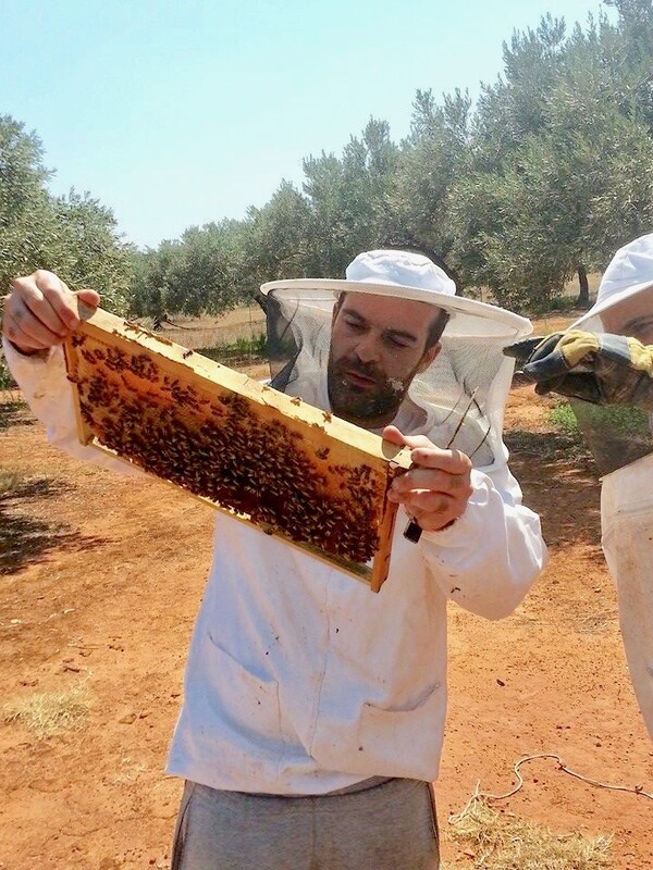 Νέος, μελισσοκόμος και αντιεξουσιαστής: Ο Νίκος την έκανε απ' την Αθήνα και δεν γυρίζει πίσω