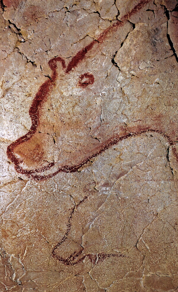 Το σπήλαιο Cosquer είναι μία κιβωτός της προϊστορικής τέχνης.