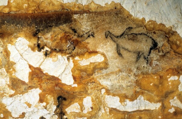 Το σπήλαιο Cosquer είναι μία κιβωτός της προϊστορικής τέχνης.