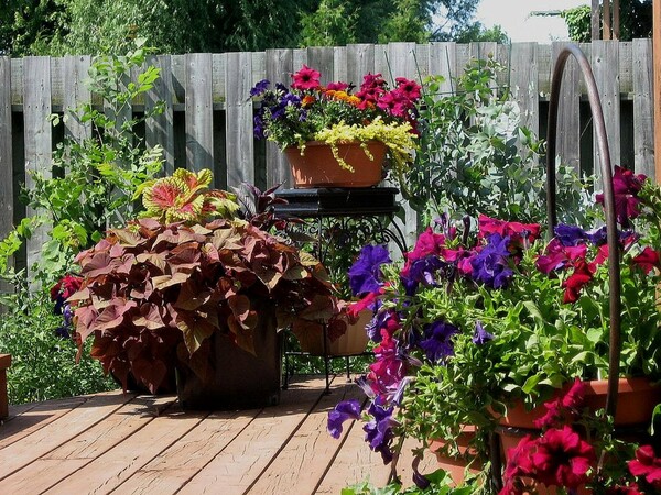 Φτιάξτε τη βεράντα και τον κήπο των ονείρων σας σε 15 βήματα