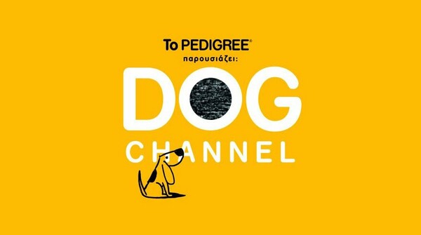 Το Pedigree® DogChannel στα καταστήματα Κωτσόβολος!