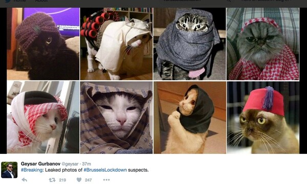 Δείτε πως η αστυνομία των Βρυξελλών ευχαρίστησε τις γάτες που γέμισαν το Twitter