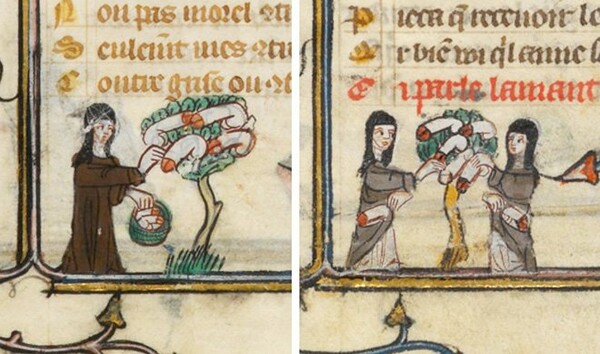 Ιπτάμενα πέη και άλλα βέβηλα τρολαρίσματα σε μεσαιωνικά χειρόγραφα