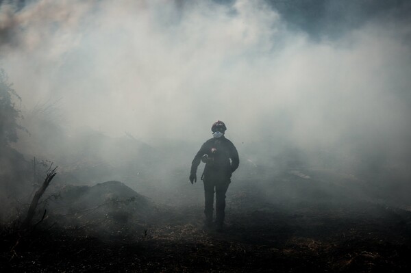 Φωτιά στην Εύβοια: Επιχειρούν ξανά τα εναέρια μέσα - Τι συμβαίνει στα μέτωπα της πυρκαγιάς