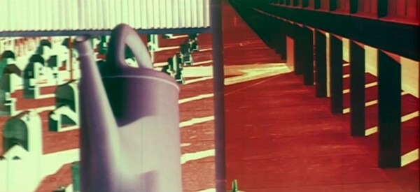 To «Μοντέλο» (1974) του Κώστα Σφήκα είναι ίσως η πιο παράξενη ταινία του ελληνικού κινηματογράφου