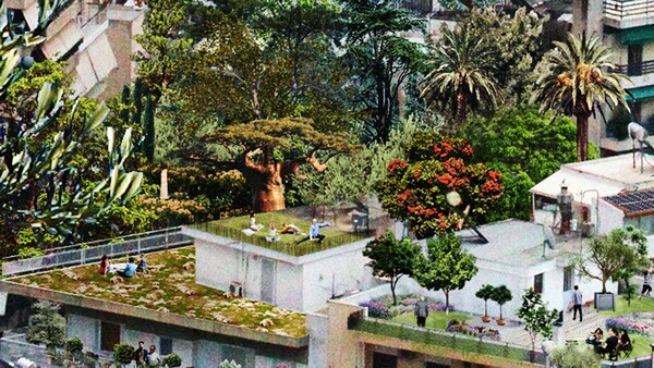 Τι θα άλλαζε στην Αθήνα αν στις ταράτσες των πολυκατοικιών φυτεύαμε κήπους;
