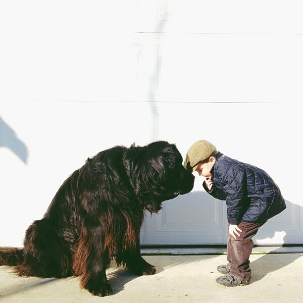  Ένα παιδί, ένας σκύλος και μια δυνατή φιλία