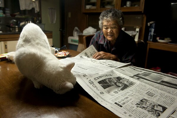 Αχώριστοι ως το τέλος: η καθημερινή λατρεία μιας 90χρονης γιαπωνέζας αγρότισσας με την υπασπίστρια γάτα της
