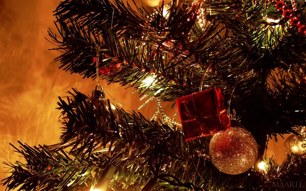 7 (παλιές) Χριστουγεννιάτικες Ιστορίες. Από τον Νίκο Δήμου