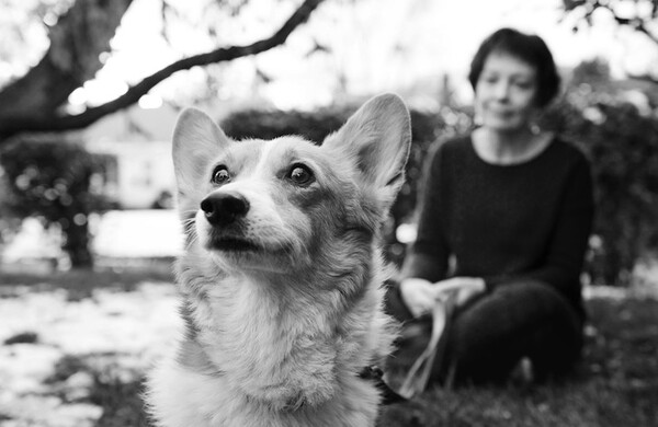 18 άνθρωποι φωτογραφίζονται με τους σκύλους τους- για τελευταία φορά 