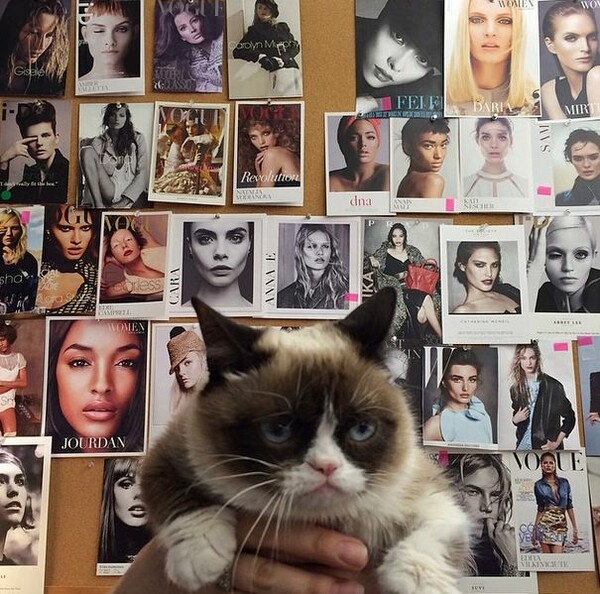 Η Grumpy Cat στη Vogue