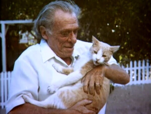 Ο Μπουκόφσκι και οι γάτες