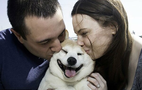 Μια σκυλίτσα που χαμογελάει συνέχεια γίνεται viral