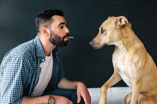 Τα γκουρμέ ελληνικά μπισκότα για το σκύλο σου που μπορείς να φας και εσύ