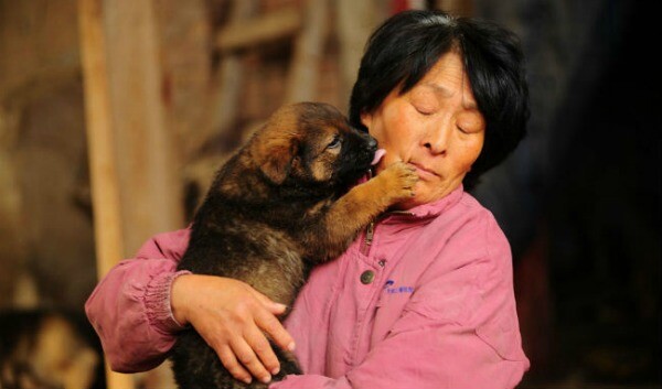 Η γυναίκα που ξοδεύει όλη της τη σύνταξη για να σώσει όσα σκυλιά μπορεί από το φεστιβάλ σφαγής στη Κίνα