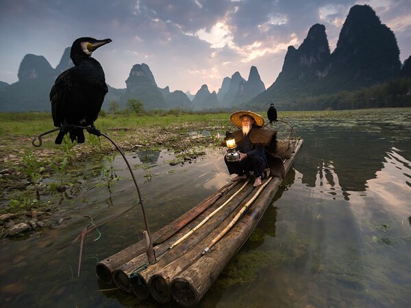 Οι 20 ωραιότερες φωτογραφίες φύσης από το National Geographic