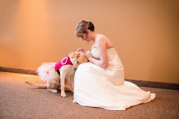 H φωτογραφία της νύφης που δέχεται τη βοήθεια του σκύλου θεραπείας της έχει συγκινήσει όλο το ίντερνετ