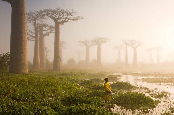 Οι 20 ωραιότερες φωτογραφίες φύσης από το National Geographic