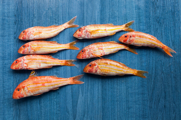 Αυτά ειναι τα κυριότερα ψάρια, όστρακα και μαλάκια των ελληνικών θαλασσών