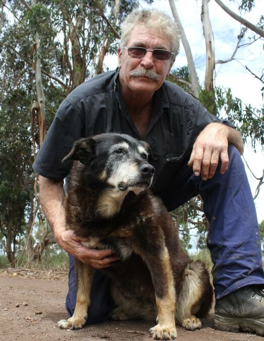 Η Μaggie, το γηραιότερο σκυλί του κόσμου, πέθανε σε ηλικία 30 ετών