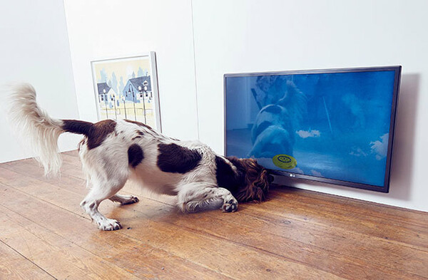 Η πρώτη έκθεση σύγχρονης τέχνης για σκύλους στον κόσμο βρίσκεται στο Λονδίνο