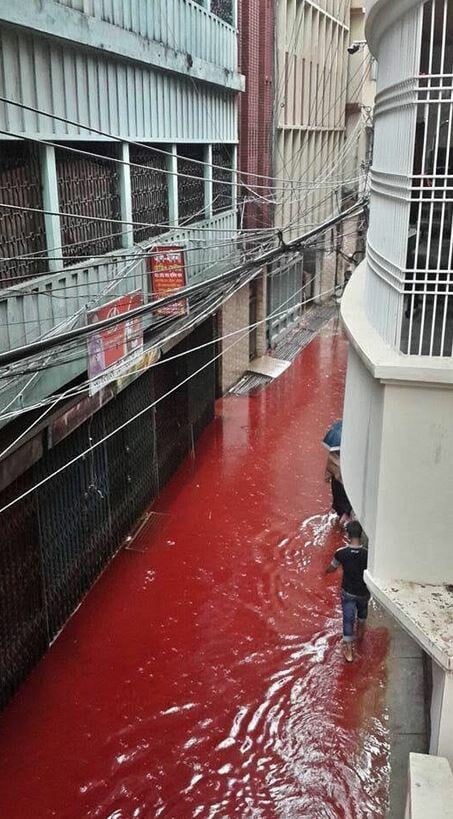 Οι θυσίες χιλιάδων ζώων μετέτρεψαν τους δρόμους της Ντάκα σε ποτάμια αίματος