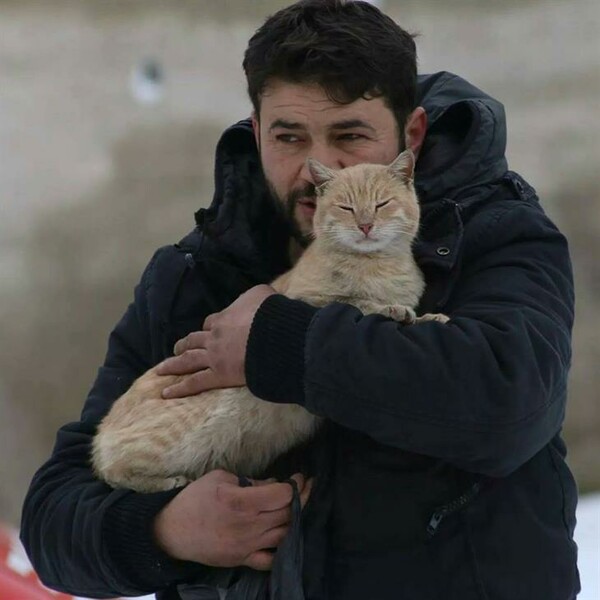 Στο Χαλέπι οι αδέσποτες γάτες έχουν τον δικό τους σωτήρα