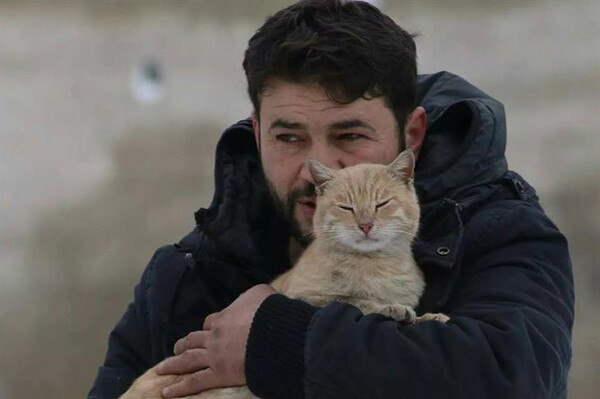 Στο Χαλέπι οι αδέσποτες γάτες έχουν τον δικό τους σωτήρα