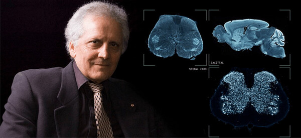 Γιώργος Παξινός, ο χαρτογράφος του ανθρώπινου εγκέφαλου στις «Κορυφές»