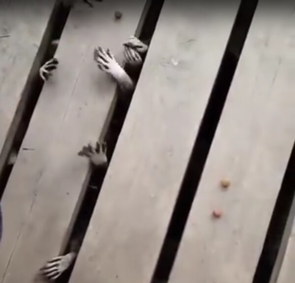 Το spooky βίντεο της ημέρας: Δεκάδες μικροσκοπικά χεριά που ψάχνουν κάτι να αρπάξουν