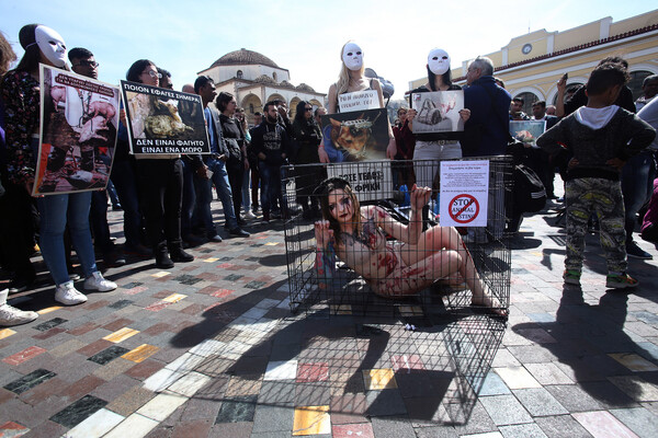 Ακτιβιστές σε γυμνή διαμαρτυρία και συγκέντρωση στο Μοναστηράκι για τα δικαιώματα των ζώων