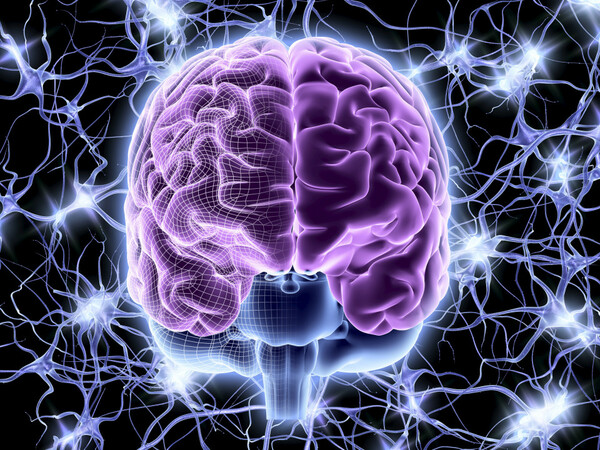 Ο εγκέφαλος και τα νευρωνικά του δίκτυα, ένα πολυδιάστατο σύμπαν που ακόμη χαρτογραφείται