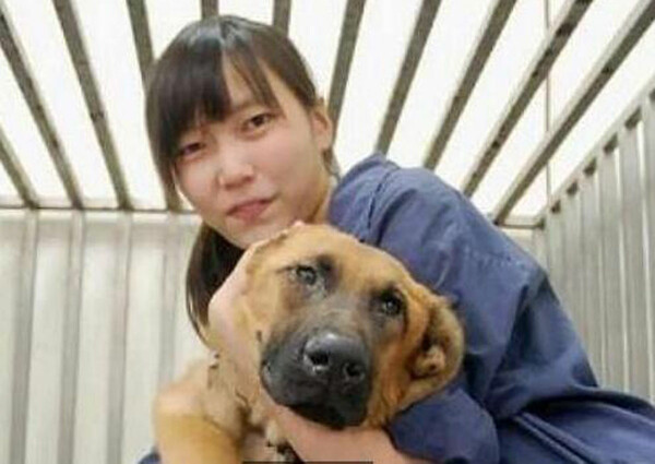 Η ιστορία της κτηνιάτρου που έκανε ευθανασία στον εαυτό της μην αντέχοντας άλλο να θανατώνει εγκαταλελειμμένα σκυλιά