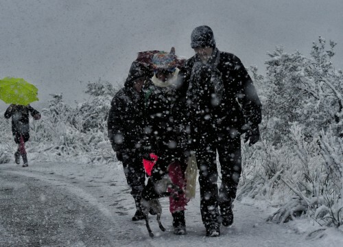Νέο κύμα κακοκαιρίας με χιόνια στην Ήπειρο και τη Μακεδονία-Κλειστά σχολεία και αντιολισθητικές