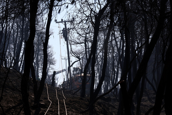 Στάχτη και αποκαΐδια: Δραματικές εικόνες από το πέρασμα της φωτιάς σε Βαρνάβα, Κάλαμο, Καπανδρίτι