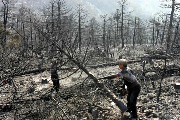 Δέκα χρόνια από τον όλεθρο της Πάρνηθας, τη μεγαλύτερη και δριμύτερη πυρκαγιά στην Αττική
