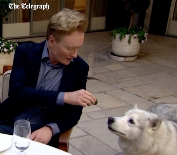 Η Kaya, το σκυλί του Μπέντζαμιν Νετανιάχου, κλέβει την παράσταση κατά τη διάρκεια συνέντευξης