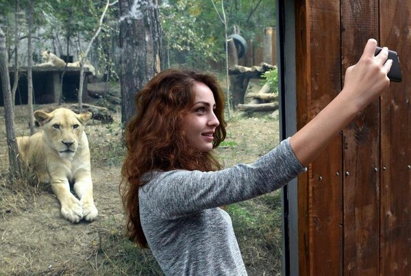 Πώς το Instagram προειδοποιεί τους χρήστες για όσους βγάζουν selfies με άγρια ζώα