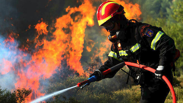 Οι φωτιές της Αλβανίας πέρασαν στη χώρα μας- «Μάχη» με τον άνεμο δίνουν οι πυροσβέστες
