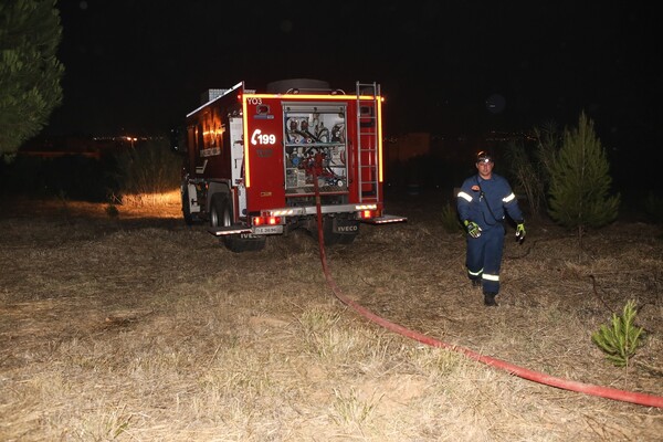 Κρήτη: Κάηκε ζωντανός στην προσπάθειά του να βάλει φωτιά σε κλαδιά